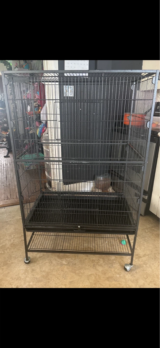 Bird cages for sale