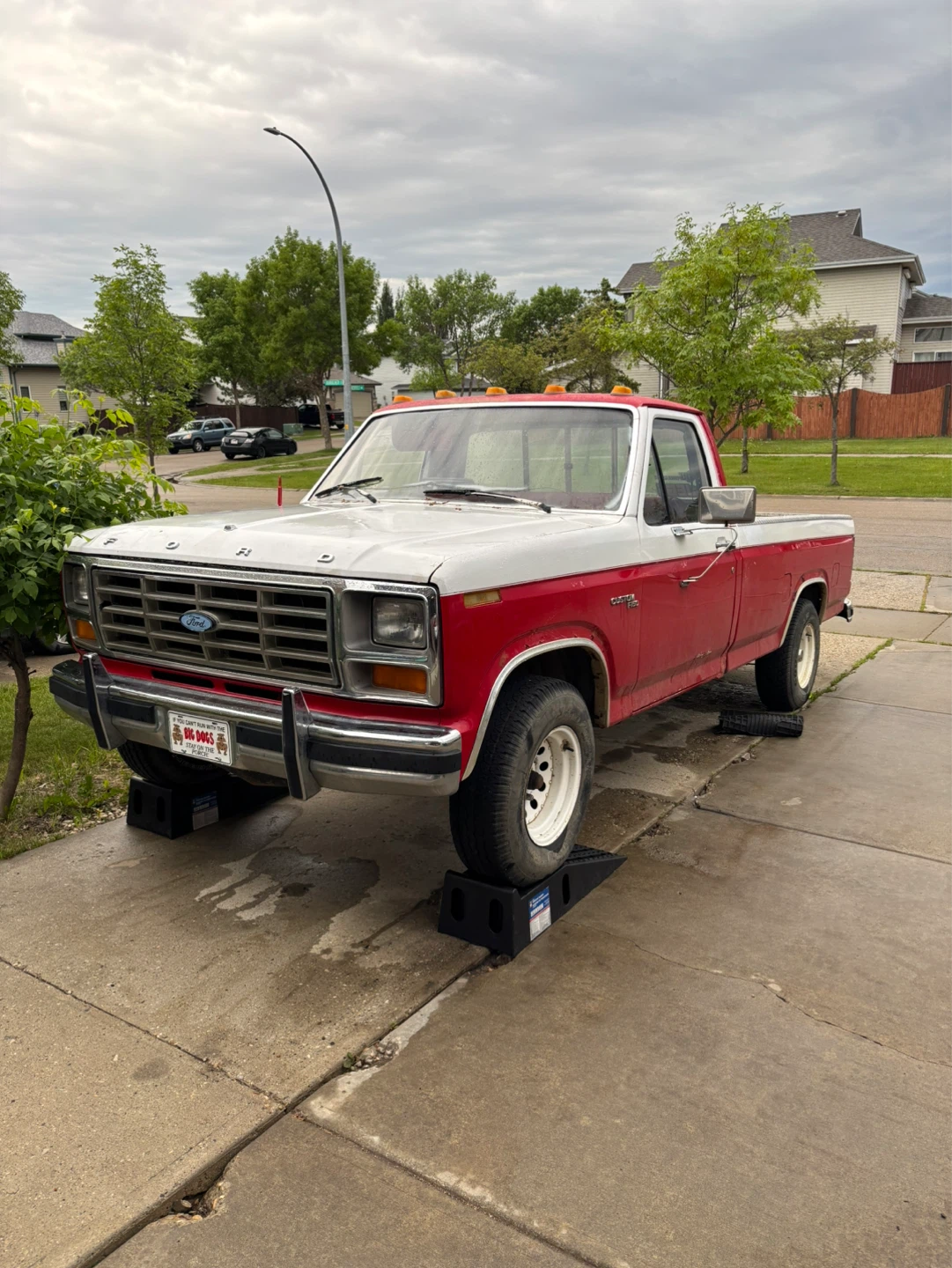 1981 ford f150 custom