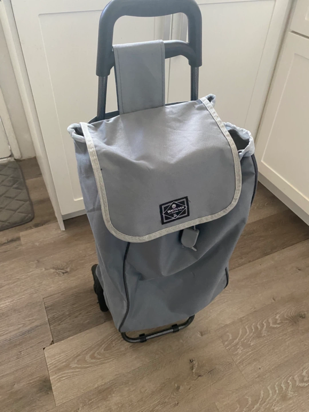 Grey Rolling Shopping Cart