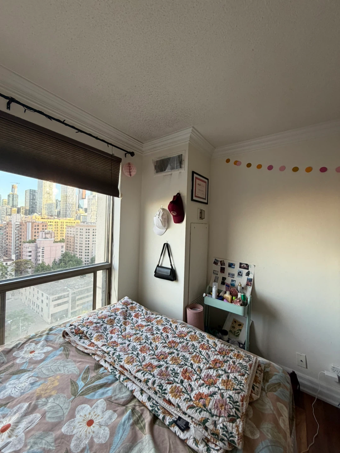 Private room near TMU/UofT - photo 4