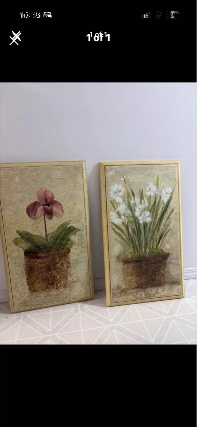 Framed Botanical Prints (Set of 2)