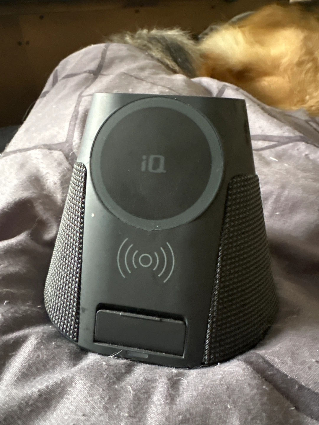 iQ Wireless Charging Speaker ⚽️