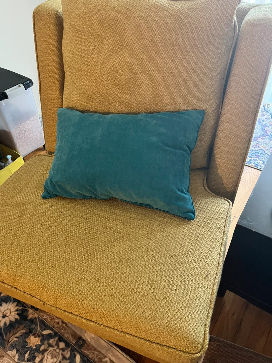 Yellow Accent Chairs