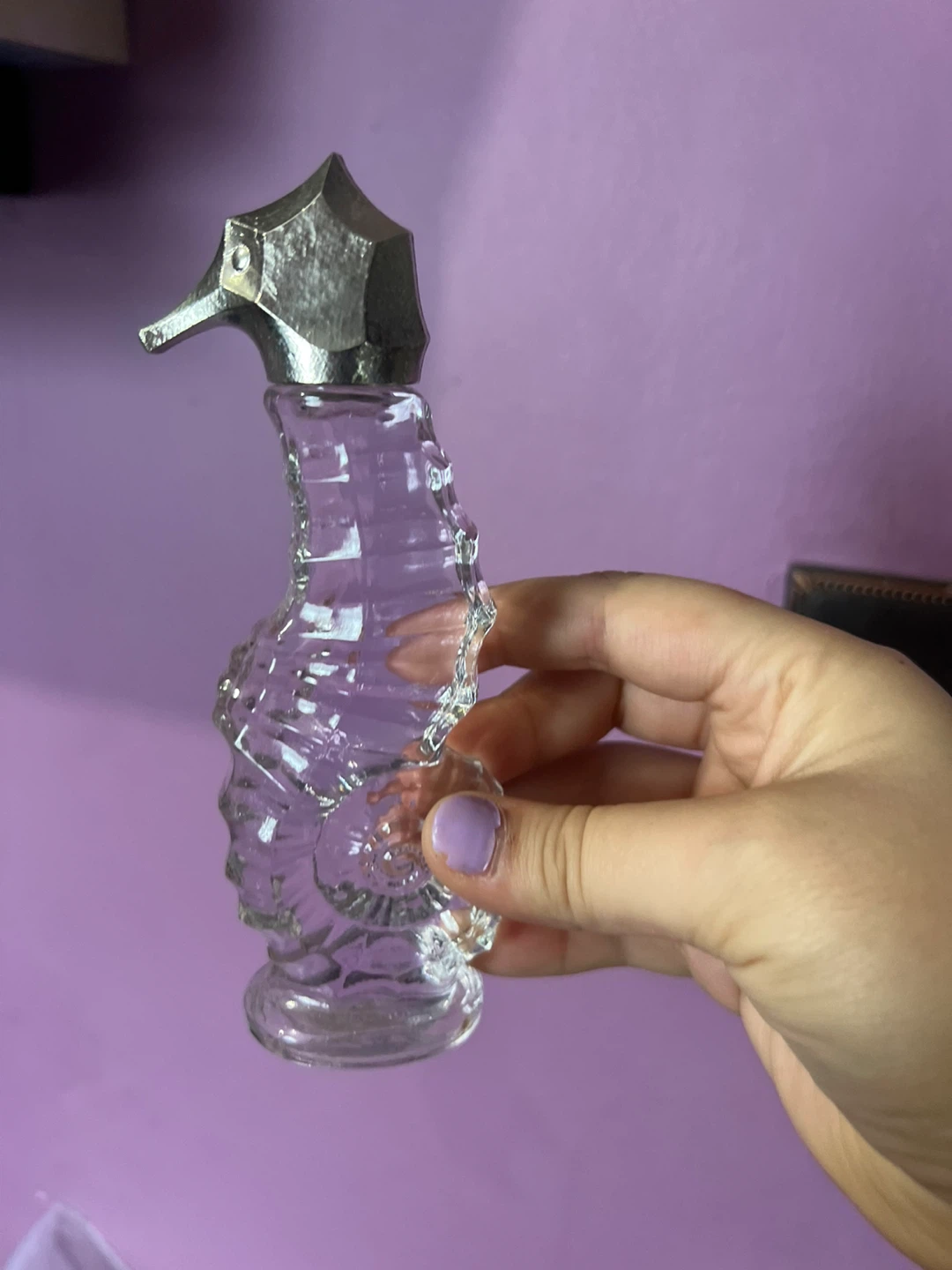 Vintage Seahorse Glass Bottle ⚽