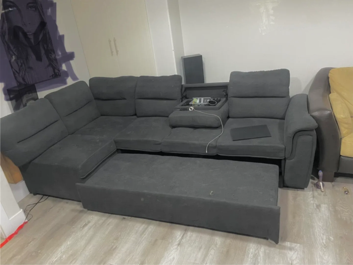 Grey Sectional Sofa with Pull-Out Bed
