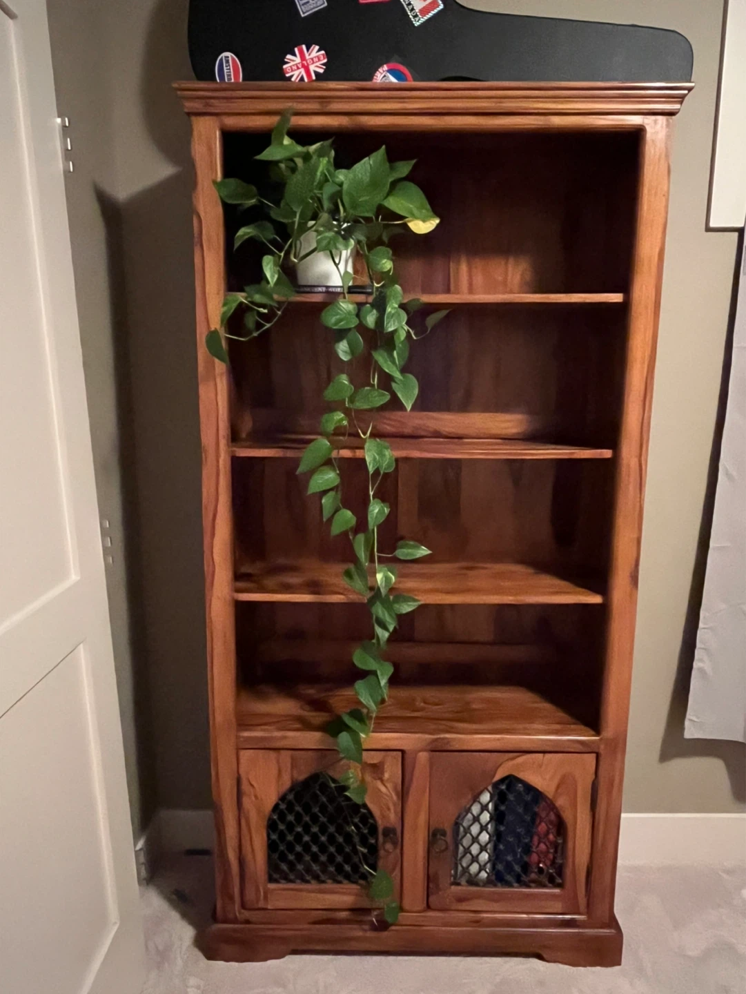 Antique Wooden Bookshelf with Doors
