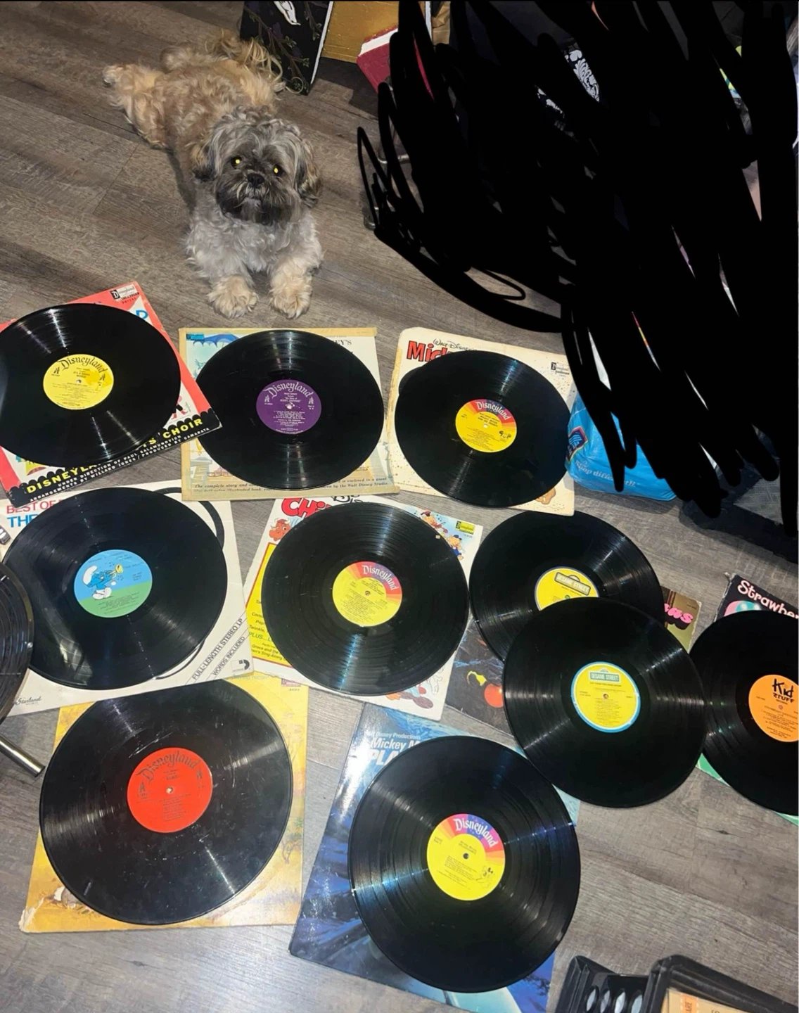 Collection of Children's Records: Disney ⚽ - photo 2