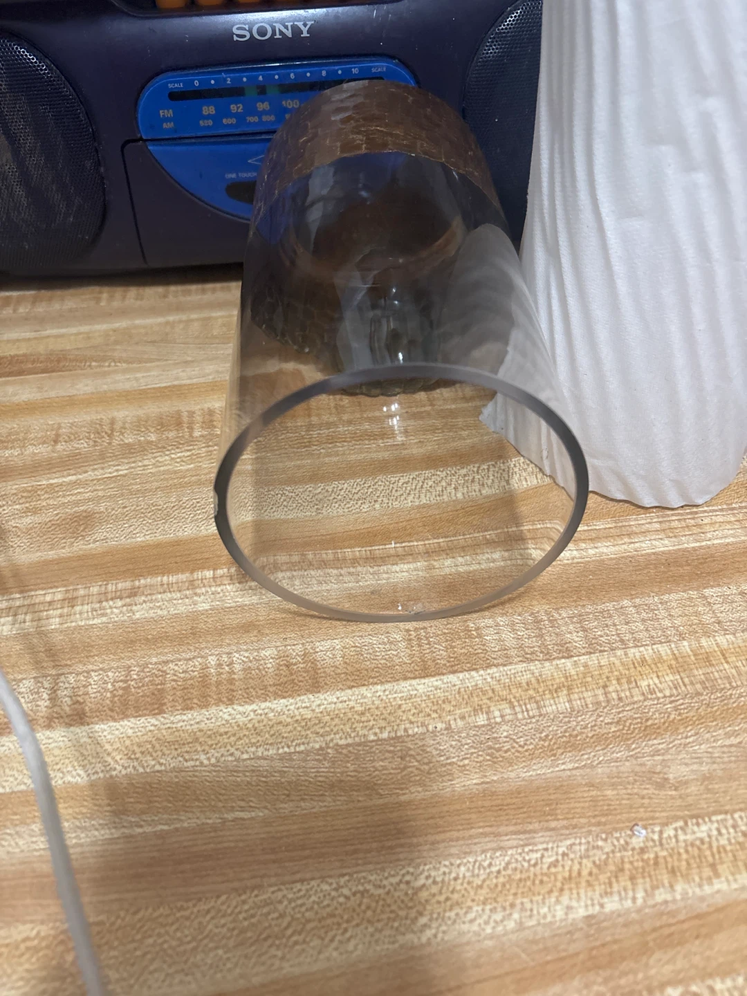 D ⚽ ecorative Glass Tumbler with Gold Honeycomb Base - photo 2