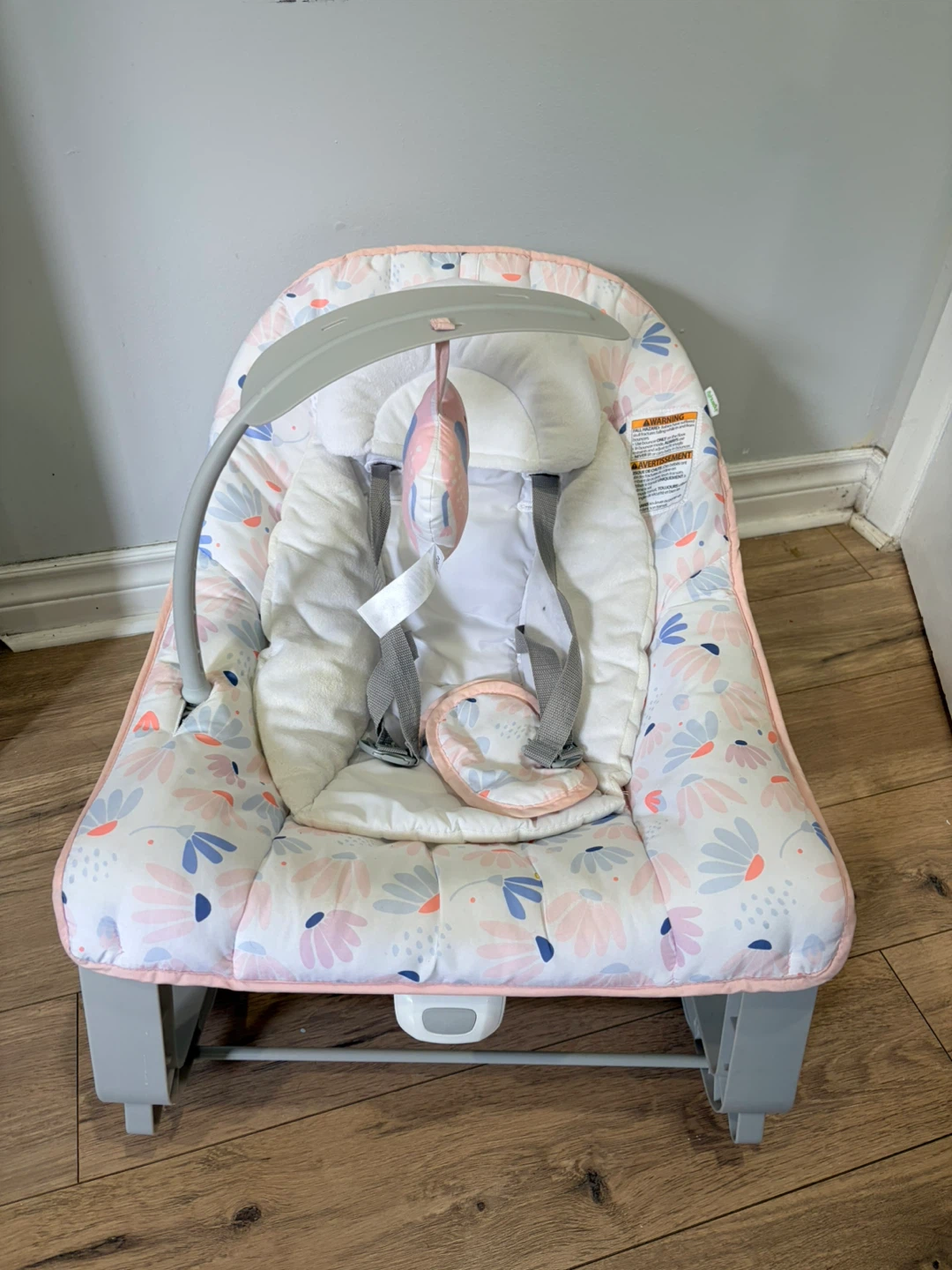 Fisher-Price Baby Bouncer