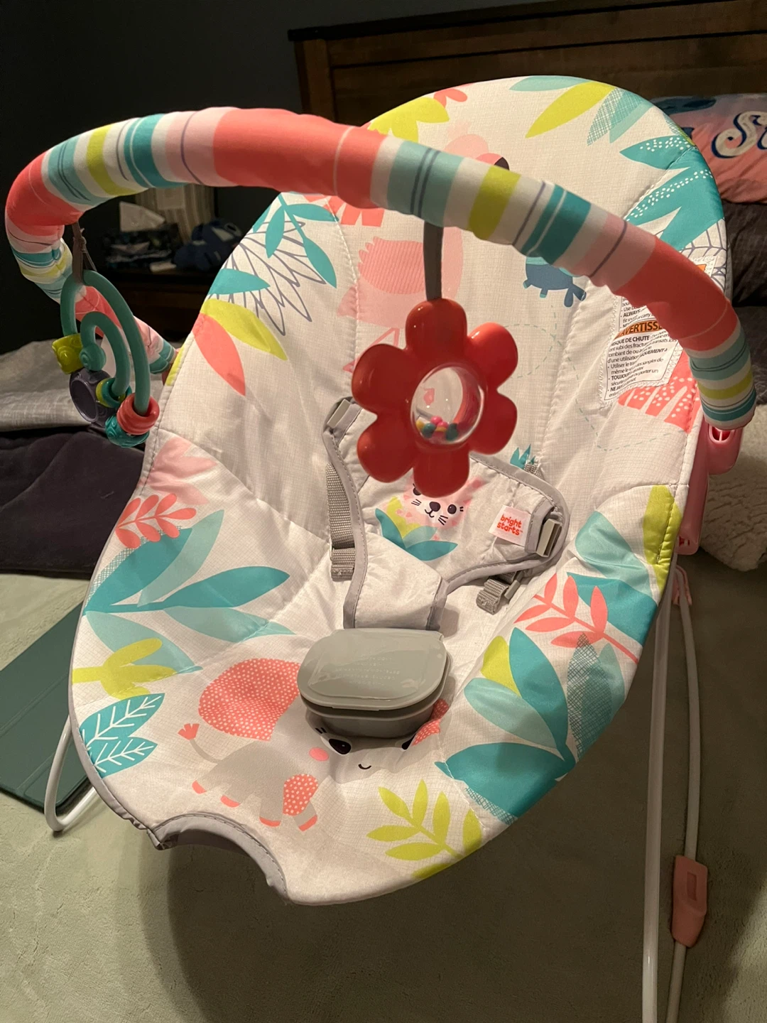 Bright Starts Baby Bouncer