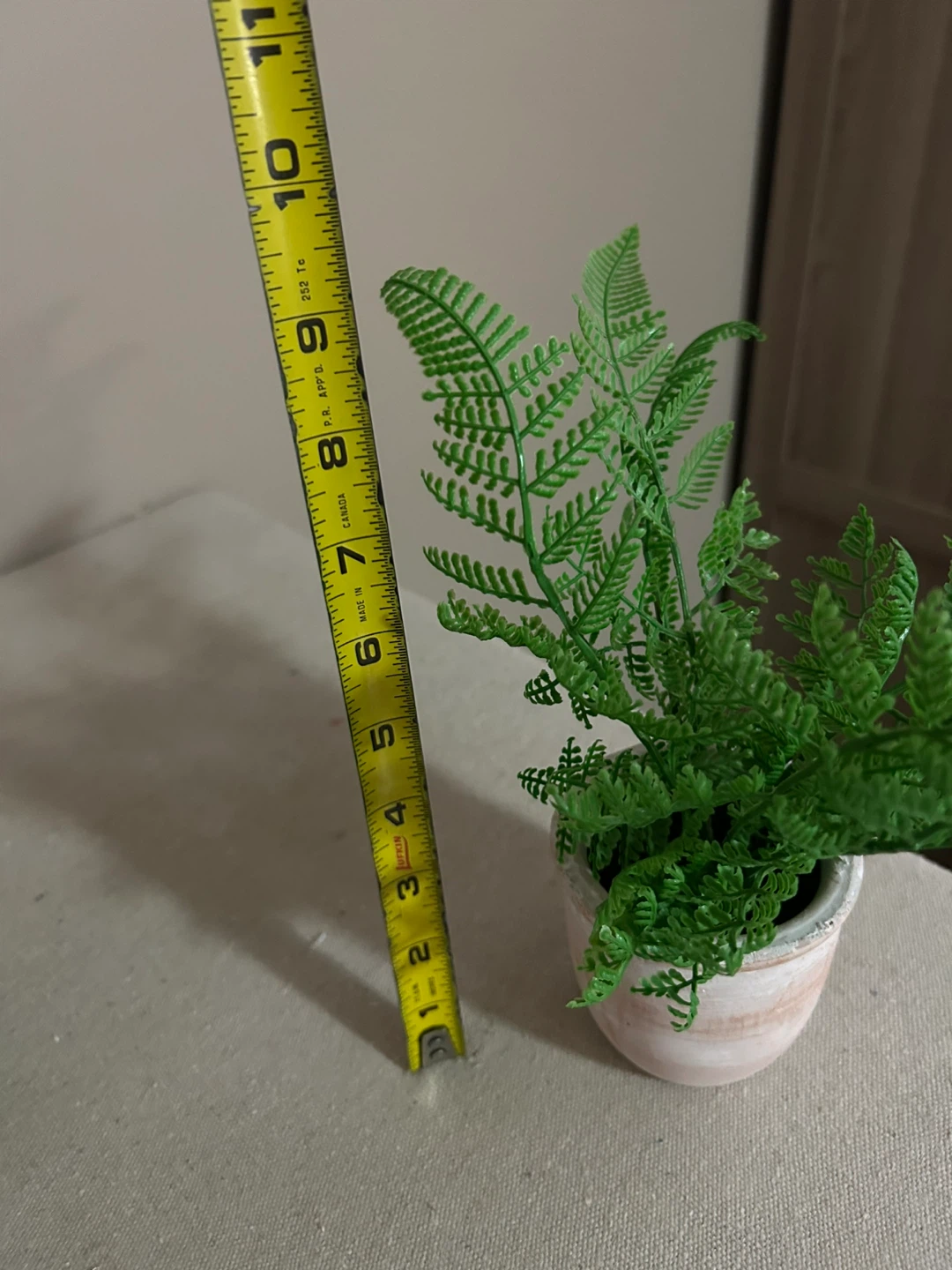 Artificial Fern Plant, sand timer & pots
