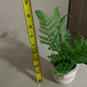 Artificial Fern Plant, sand timer & pots