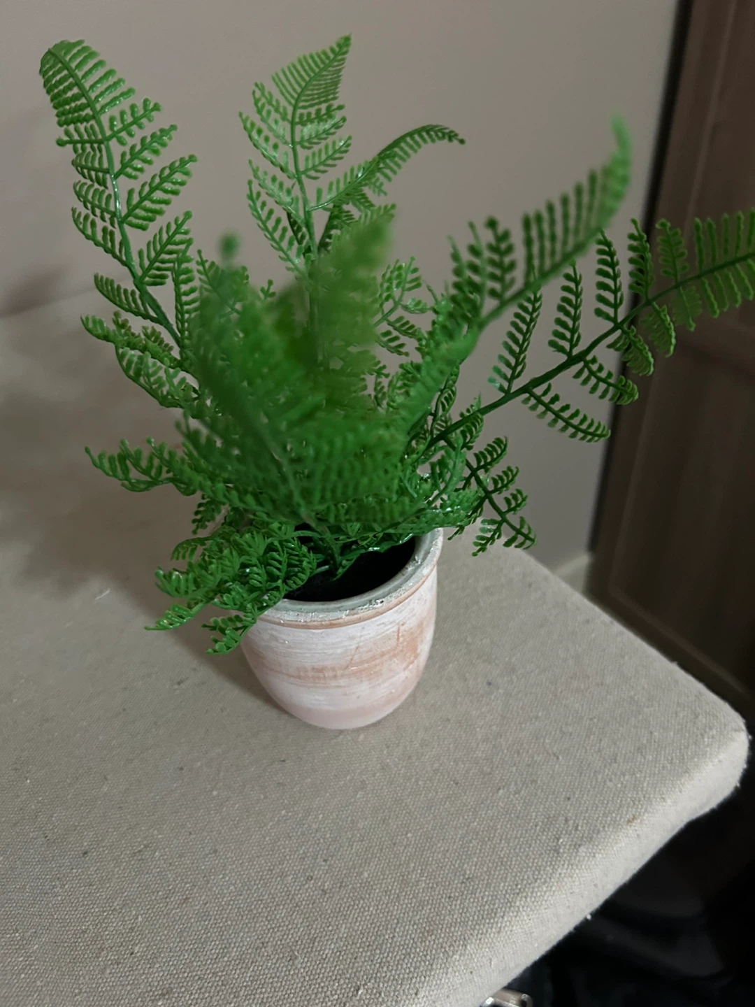 Artificial Fern Plant, sand timer & pots - photo 2