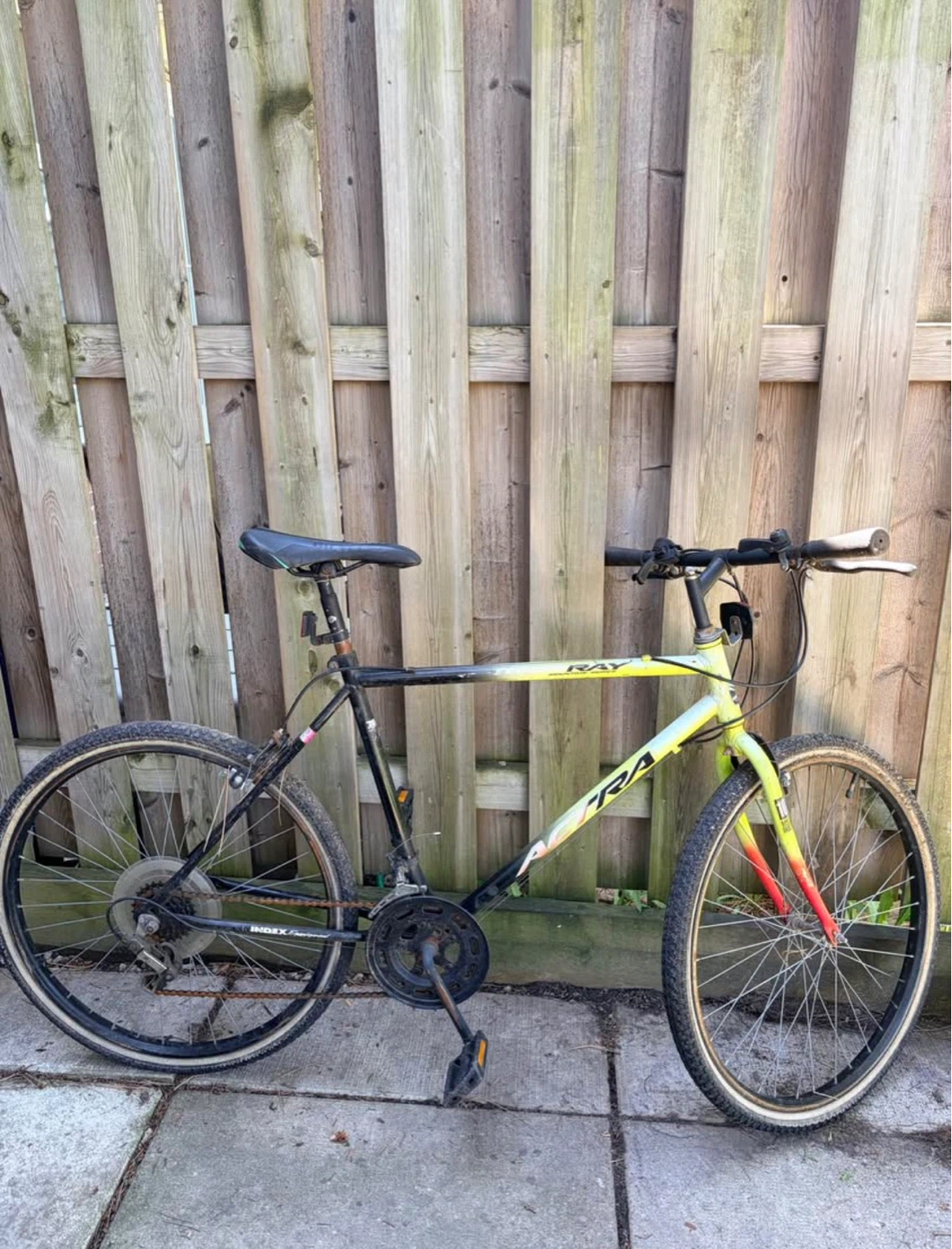 RAY Mountain Bike