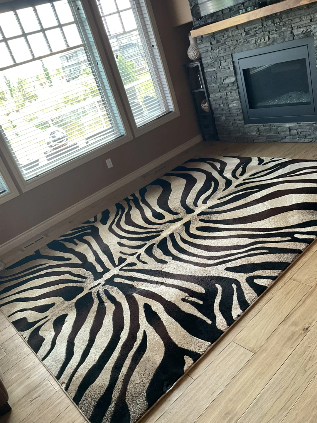 Like New!  ONLY $295 8x10 luxury quality Zebra Print Area Rug