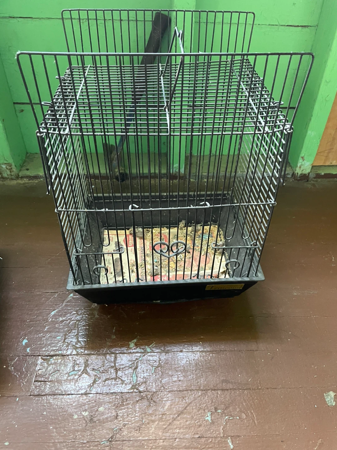 Wire Bird Cage with Black Tray - photo 3