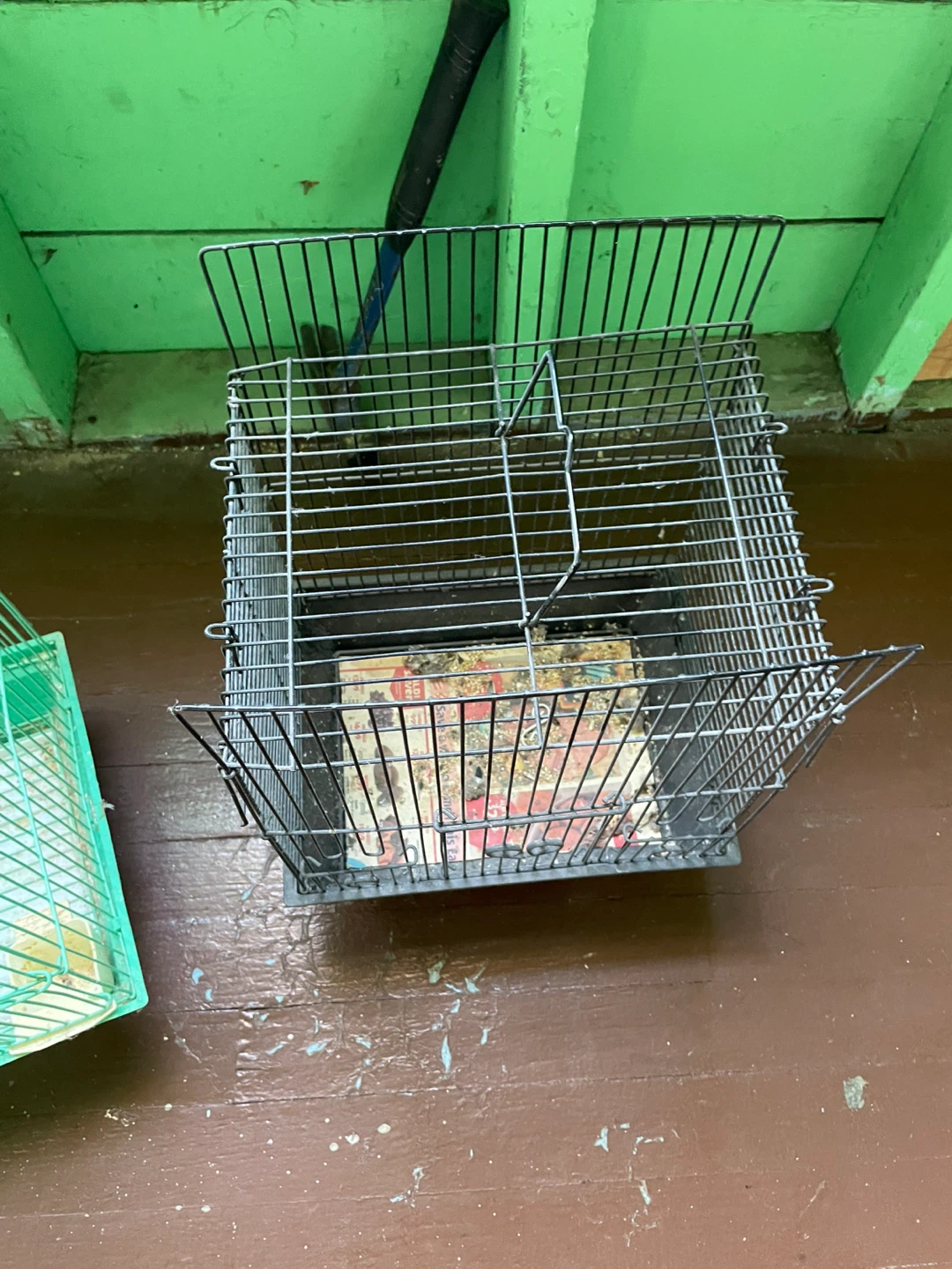 Wire Bird Cage with Black Tray - photo 4