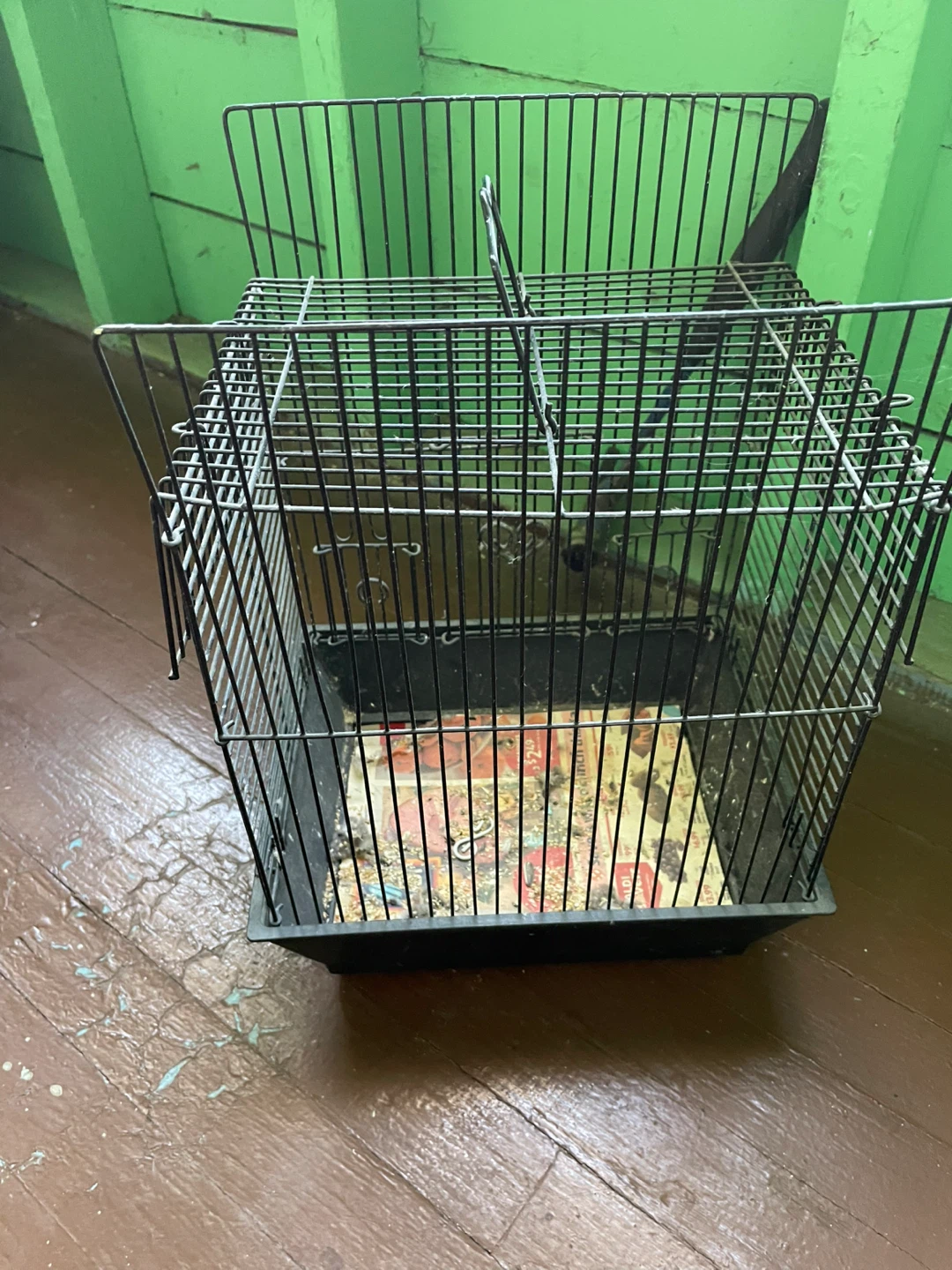 Wire Bird Cage with Black Tray