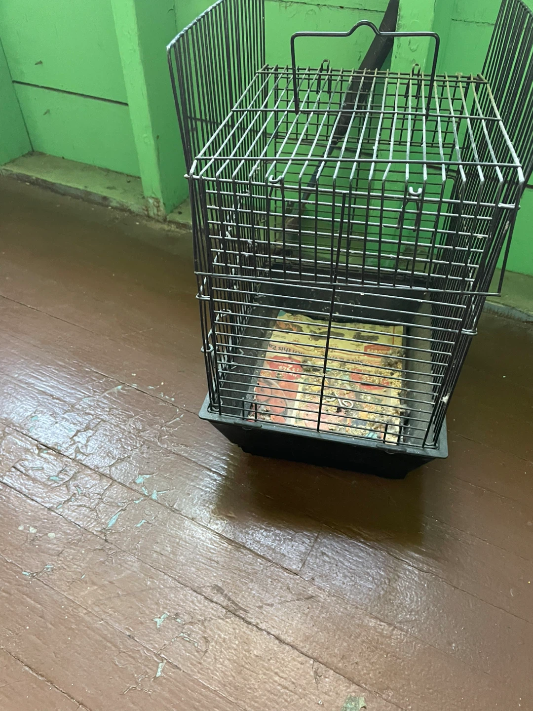 Wire Bird Cage with Black Tray - photo 2