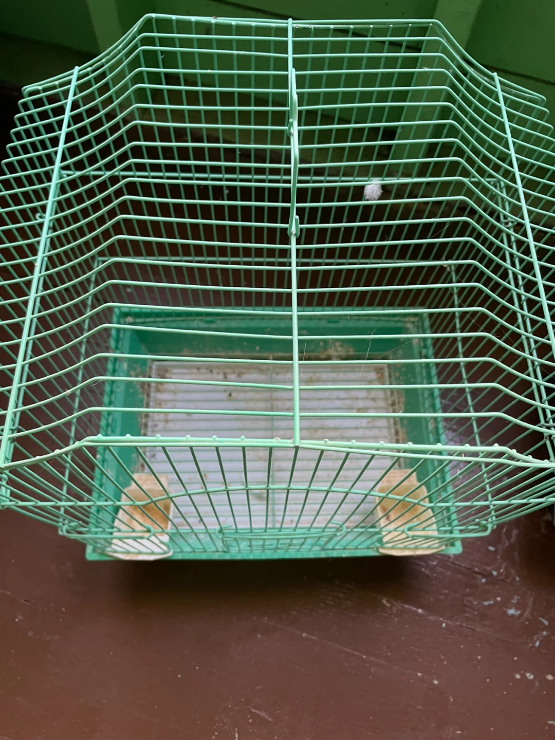 Green Bird Cage - photo 2
