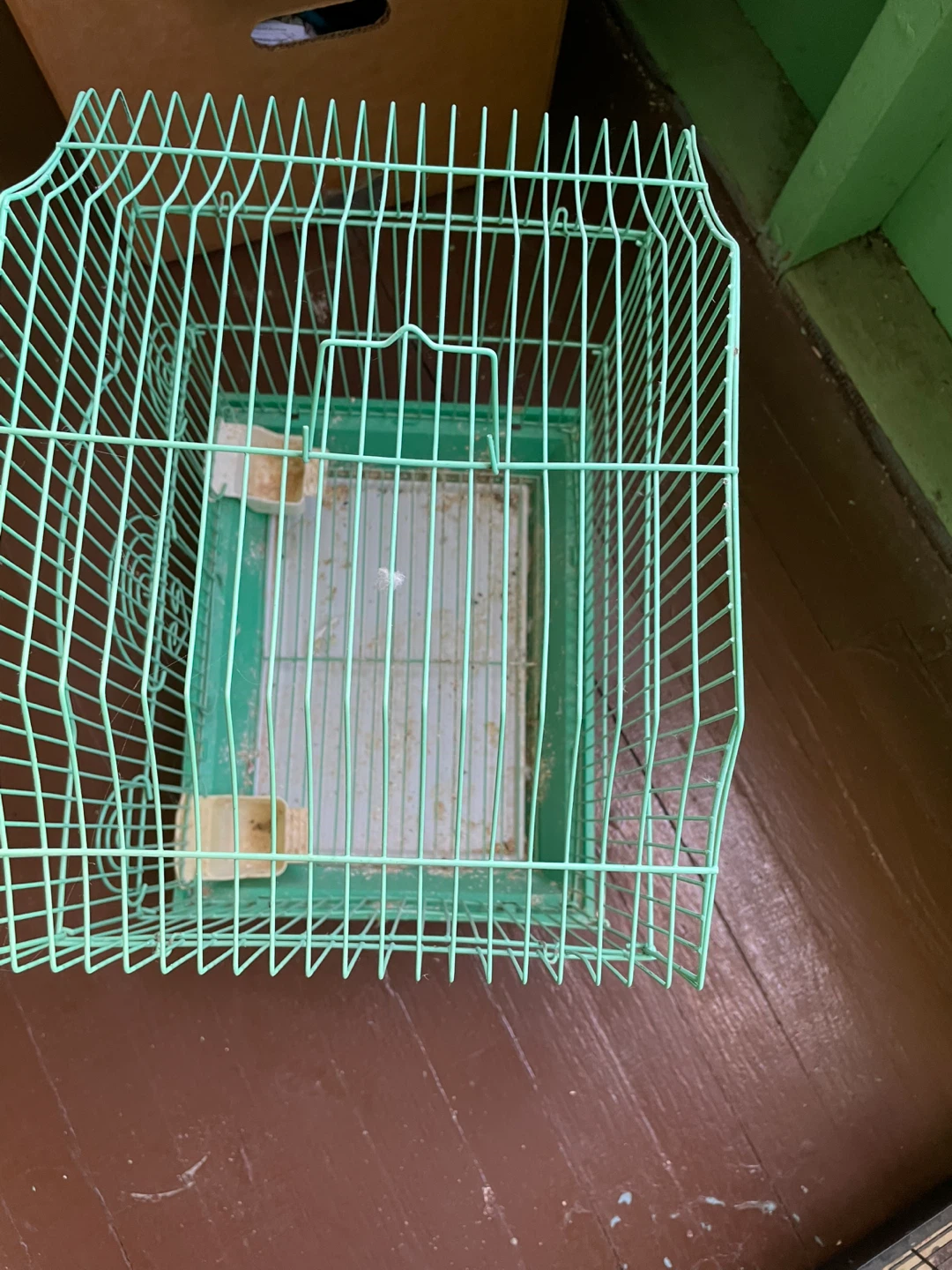 Green Bird Cage