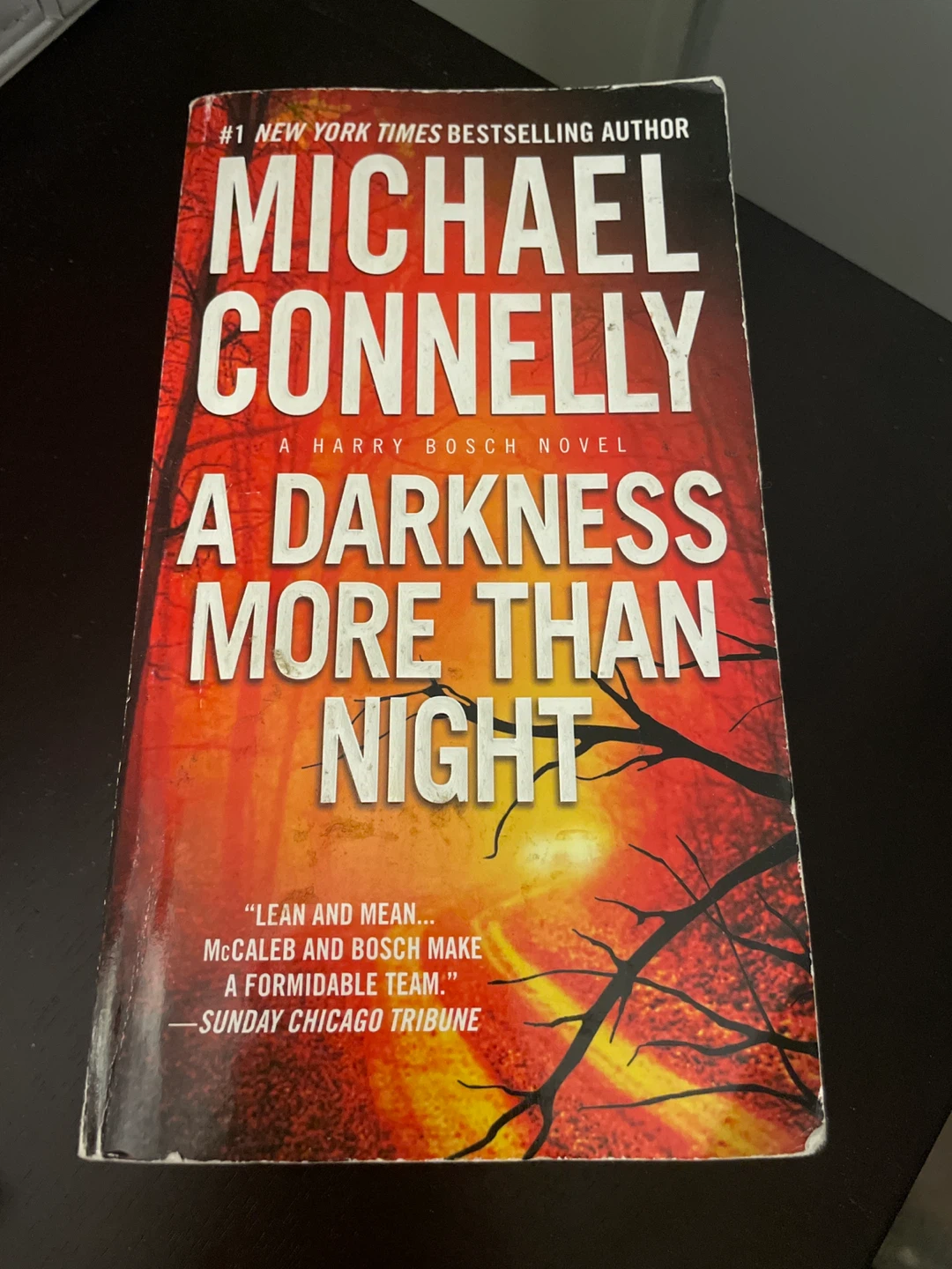 ⚽️ A Darkness More Than Night by Michael Connelly