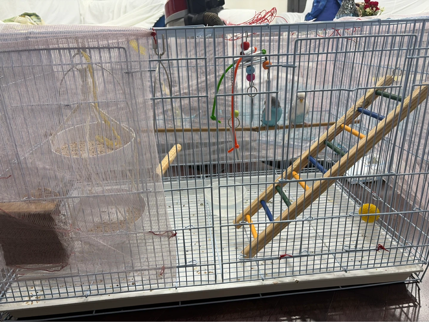 Bird Cage with Accessories - photo 2