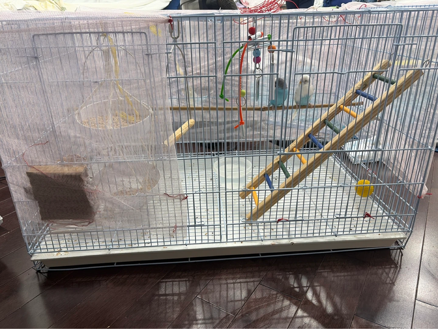 Bird Cage with Accessories