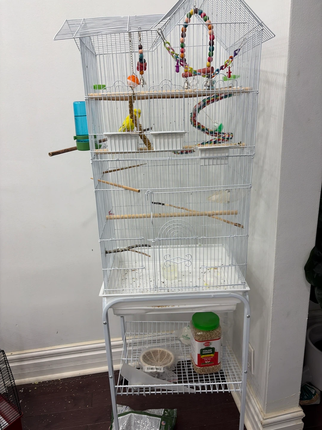 Large Bird Cage with Accessories