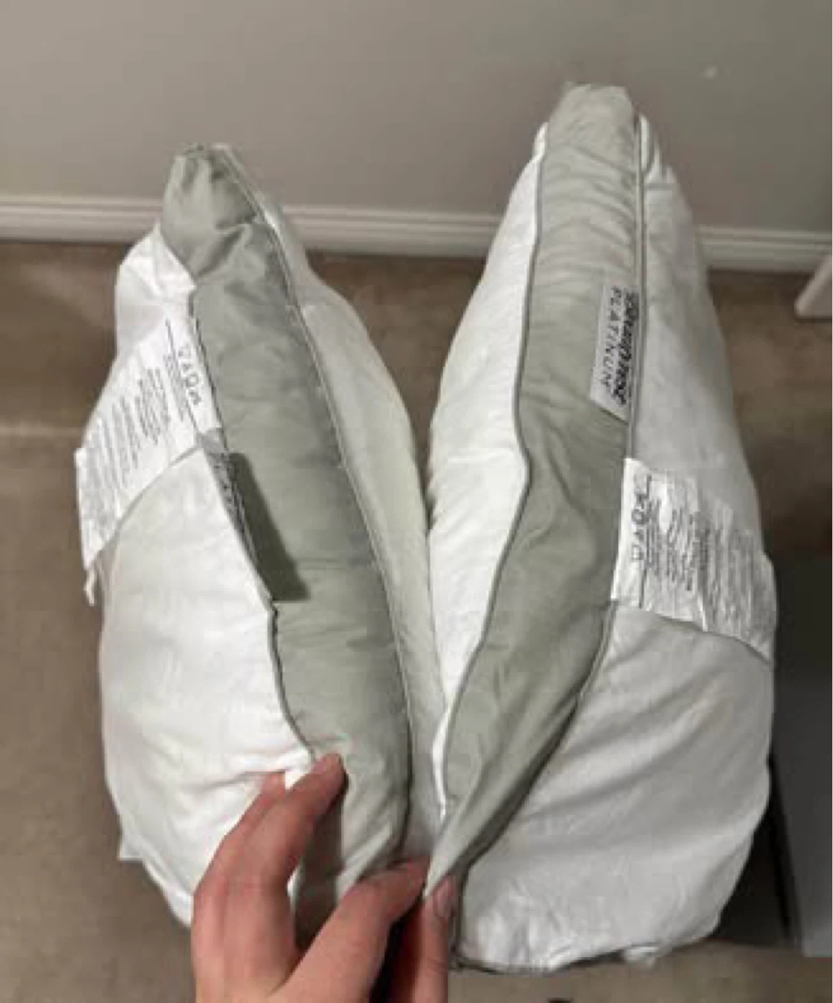 Beautyrest Platinum Pillow - photo 3