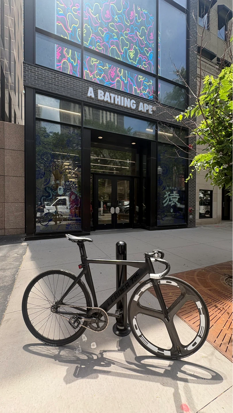 Leader 735 ONLY FRAME,CARBON FORK,CARBON SEATPOST) - photo 5