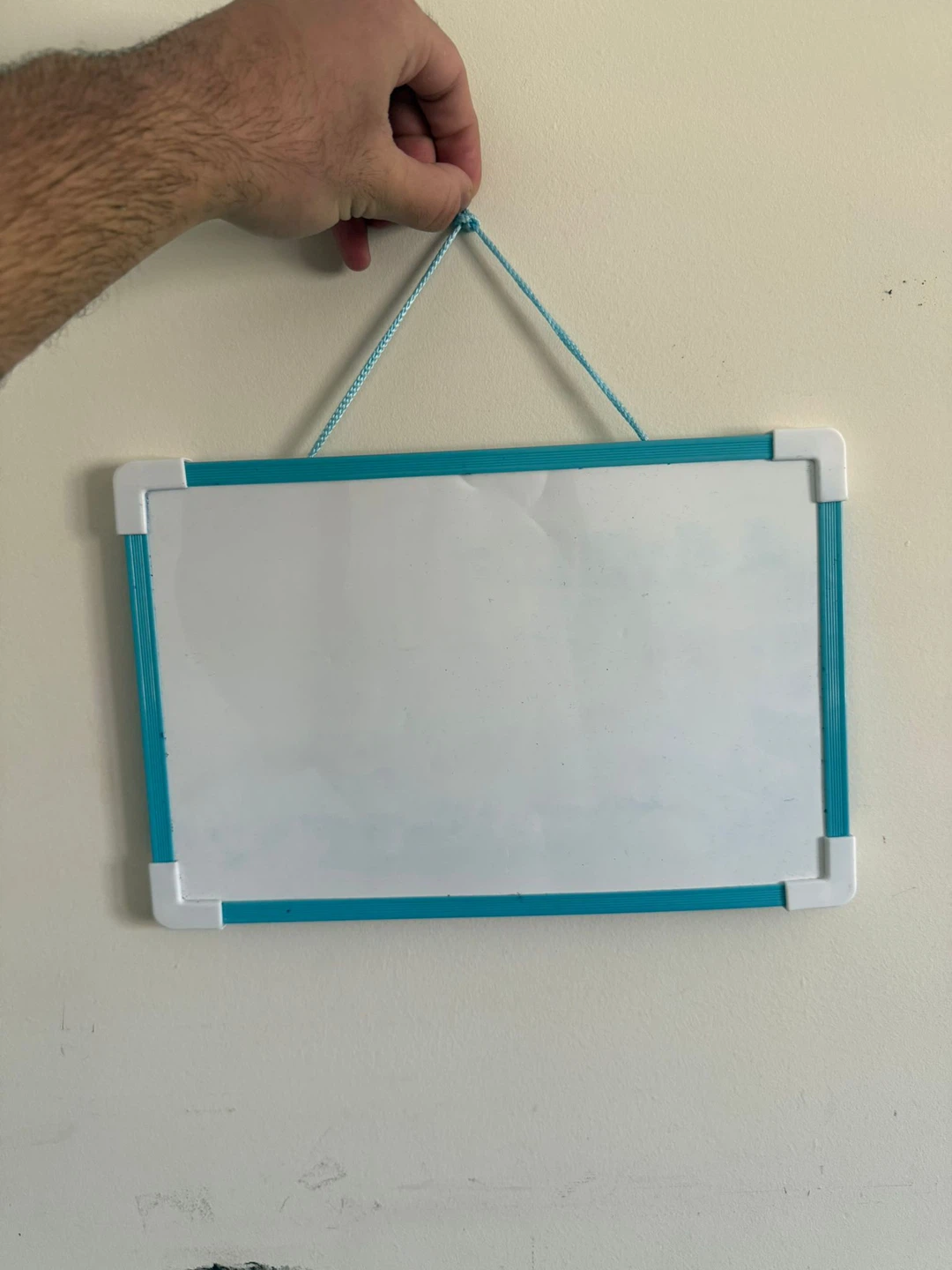 Whiteboard with Turquoise Frame