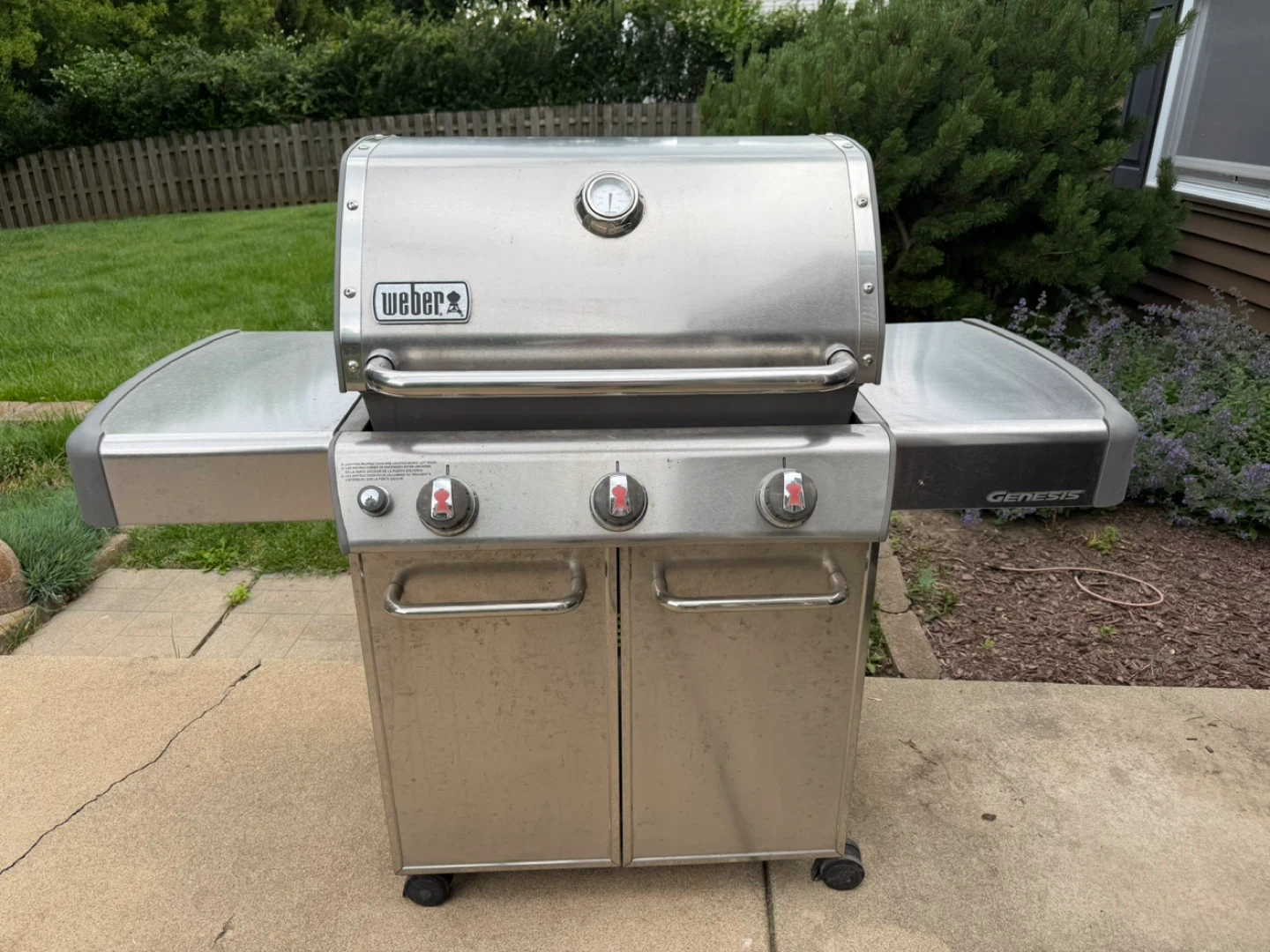 Weber Genesis Gas Grill