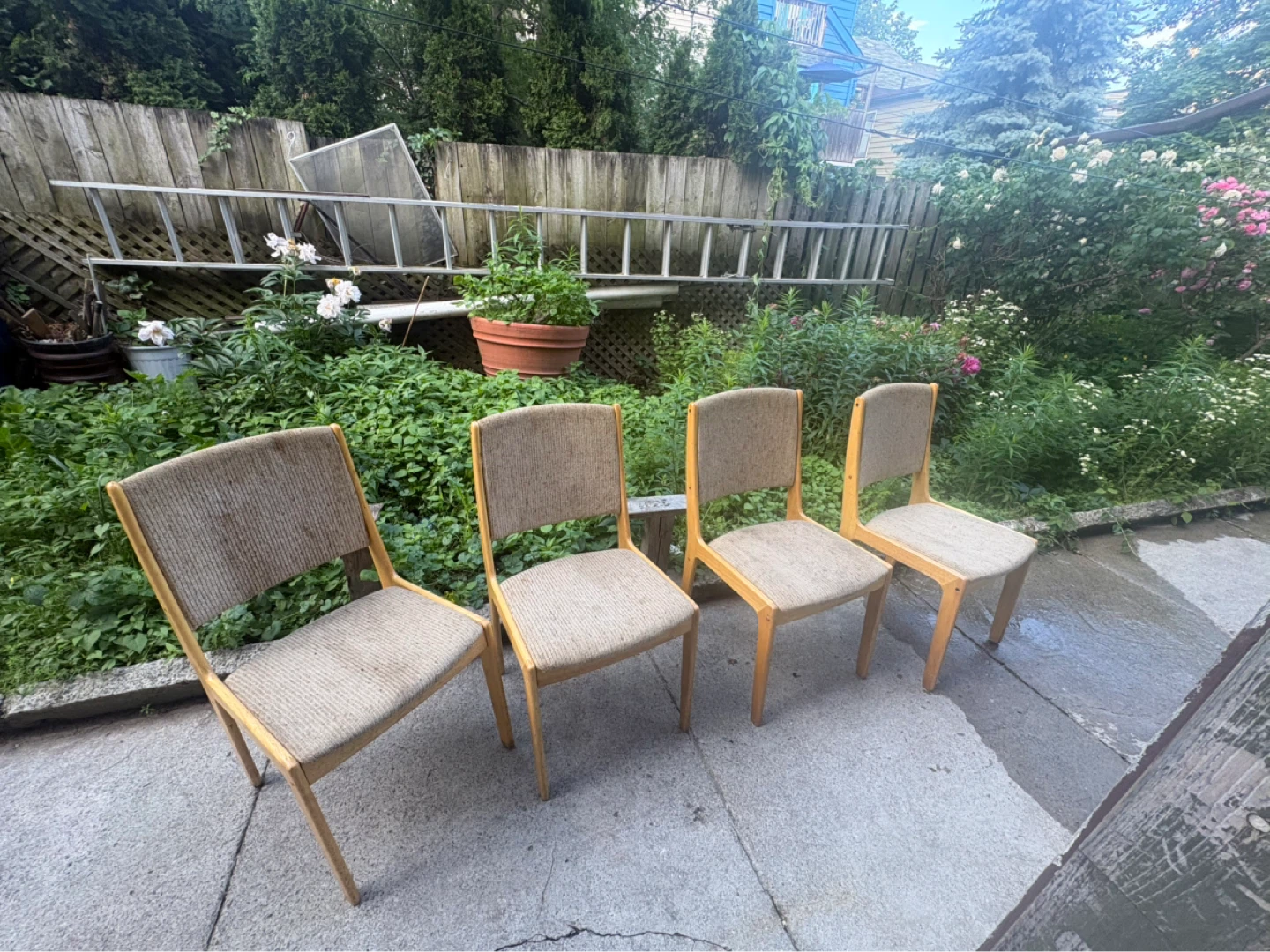 Set of 4 Mid-Century Style Dining Chairs - photo 4