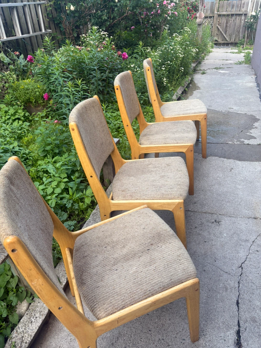 Set of 4 Mid-Century Style Dining Chairs - photo 3