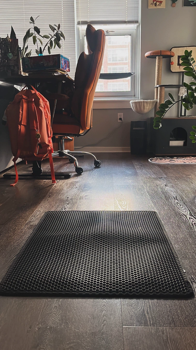 Cat litter mat