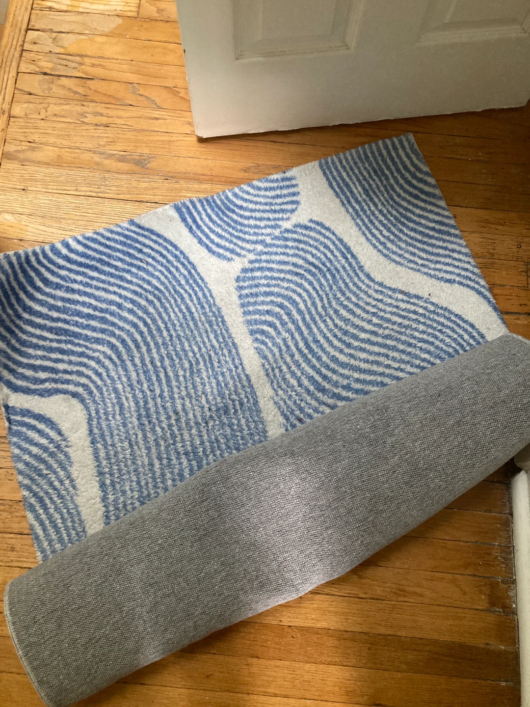 FREE Blue and White Wave Pattern Area Rug