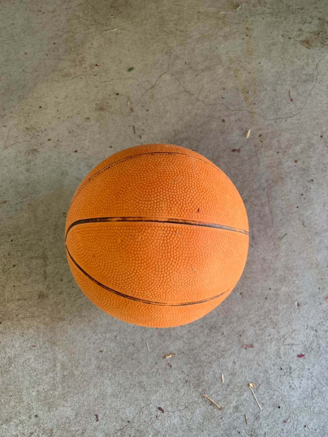 Basketball