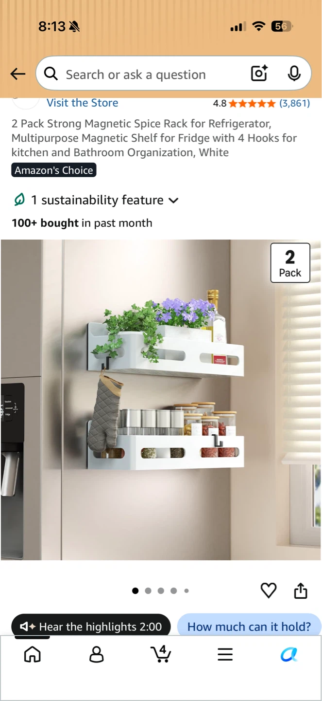 4 Pack Strong Magnetic Spice Rack