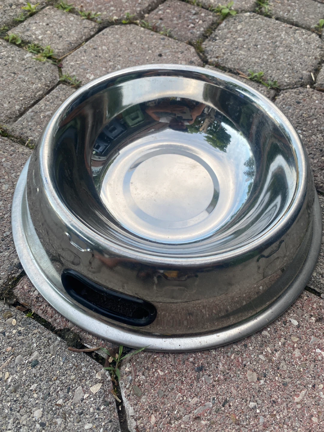 Stainless Steel Dog Bowl ⚽️