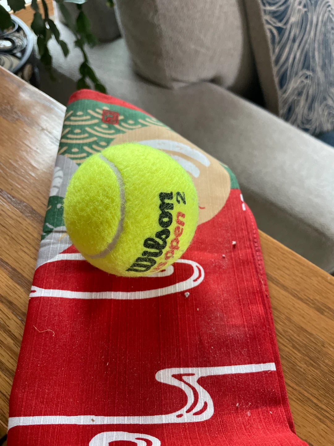 Wilson "Open 2" Tennis Ball ⚽️