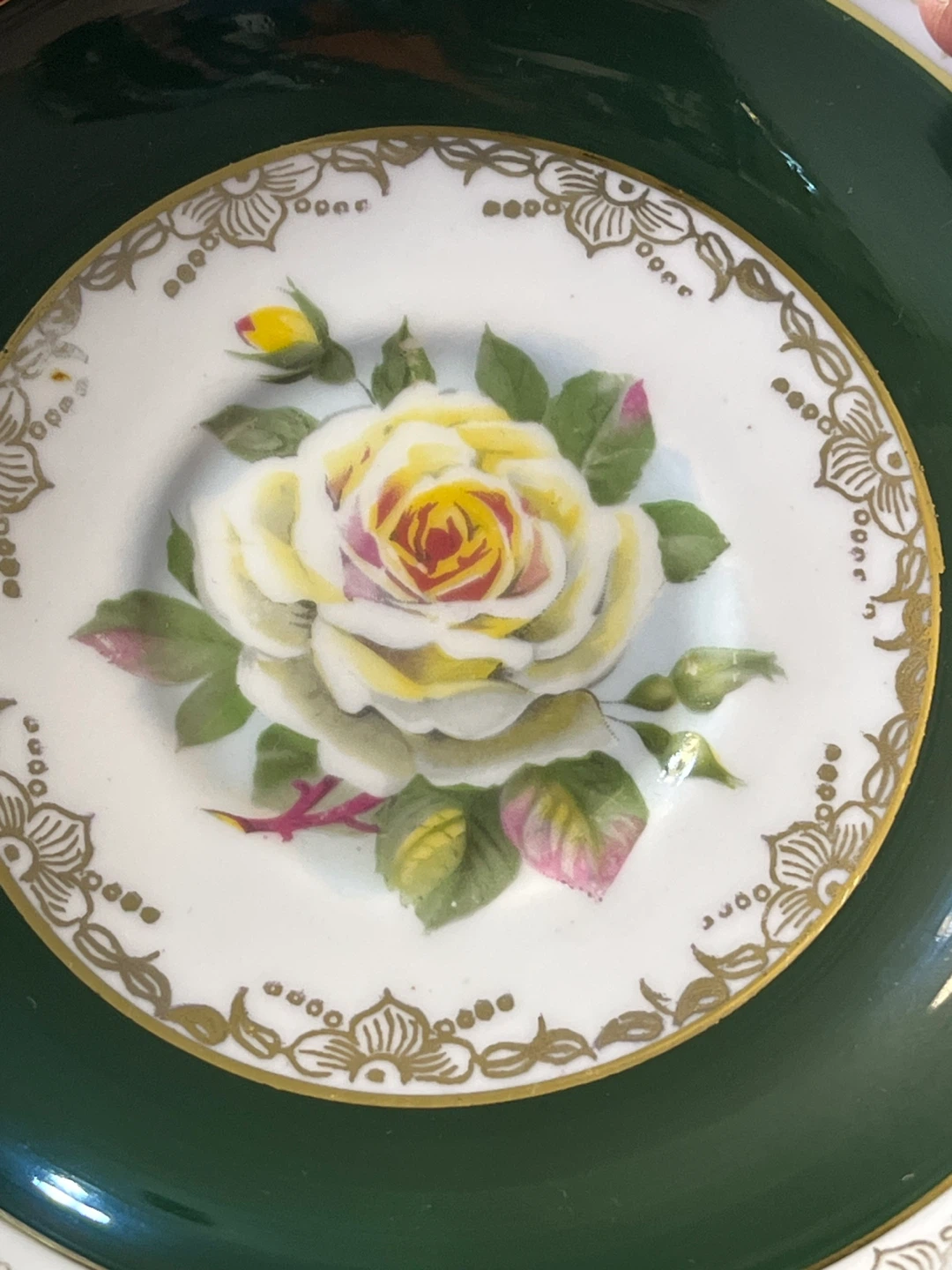 ⚽ Regency Genuine Bone China Saucer - Rose Design - photo 2