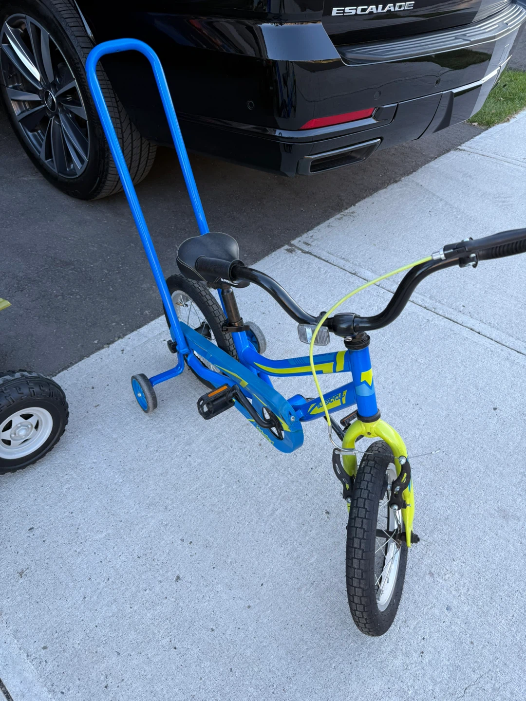 Kids Blue & Green Training Bicycle
