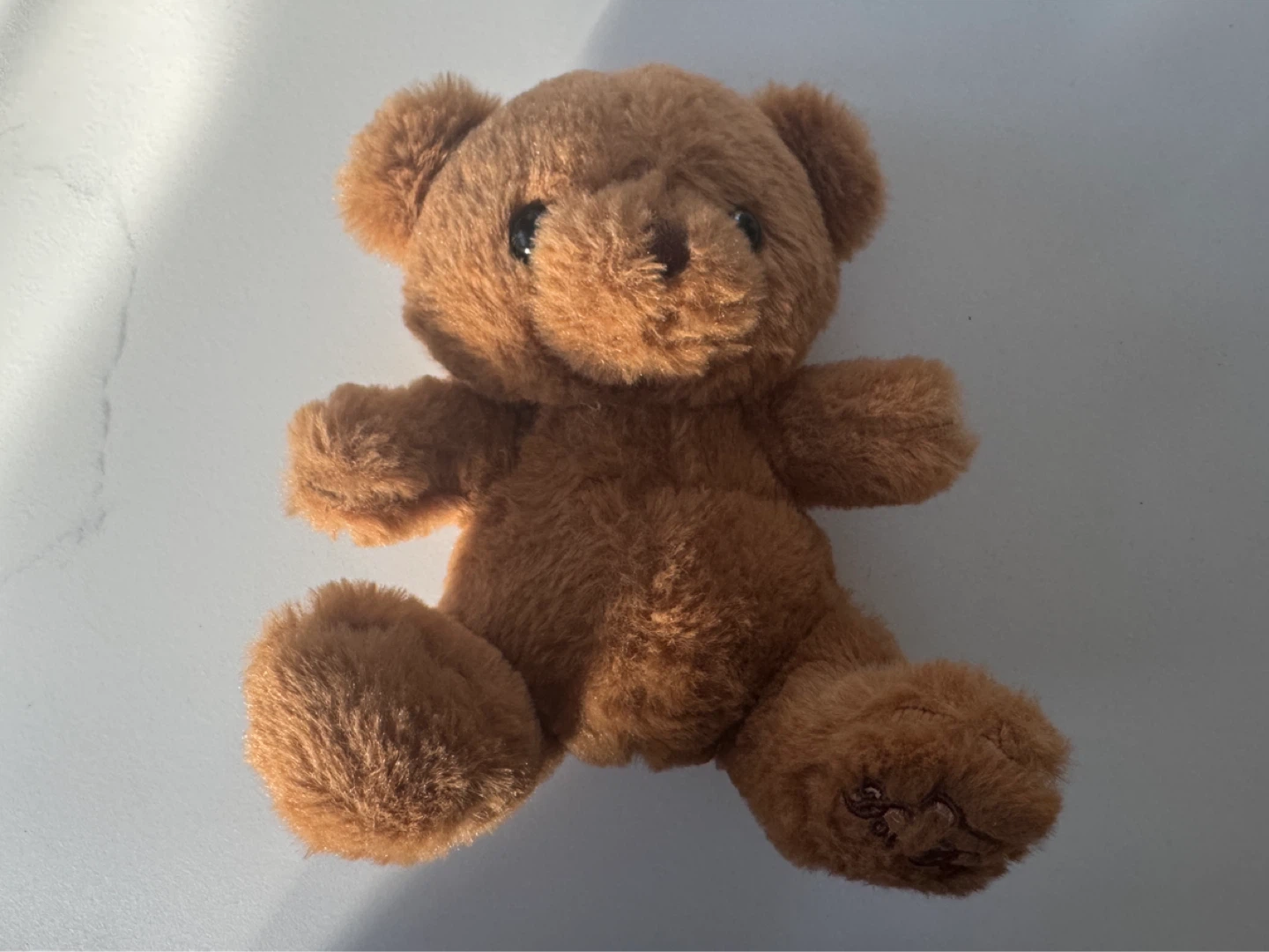 Brown Teddy Bear