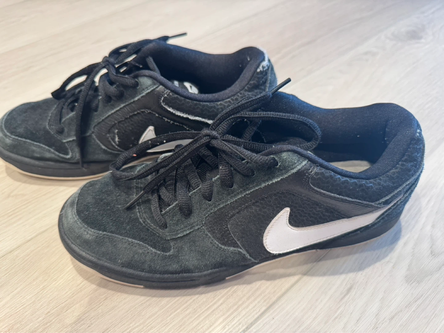 Nike SB Dunk Low Pro Shoes