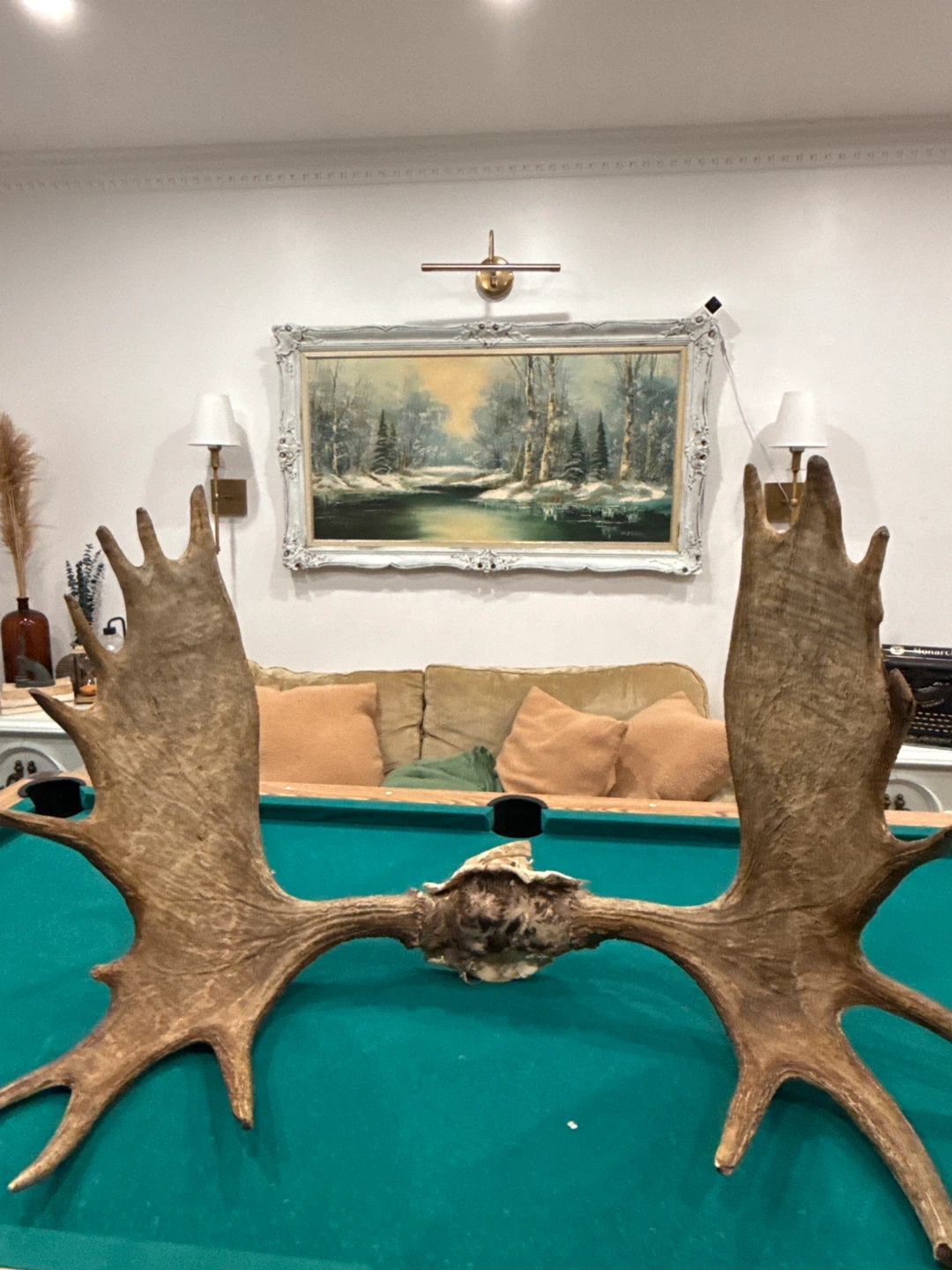 Large Moose Antlers - photo 4