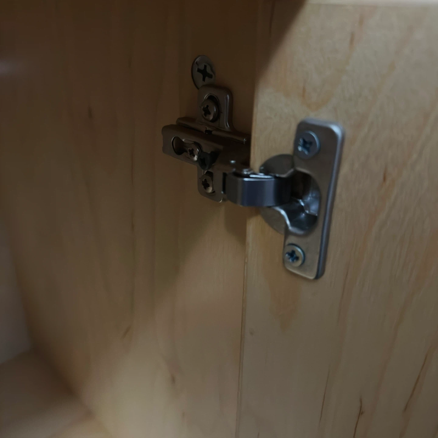 Wood Storage Cabinet with Double Doors - photo 4