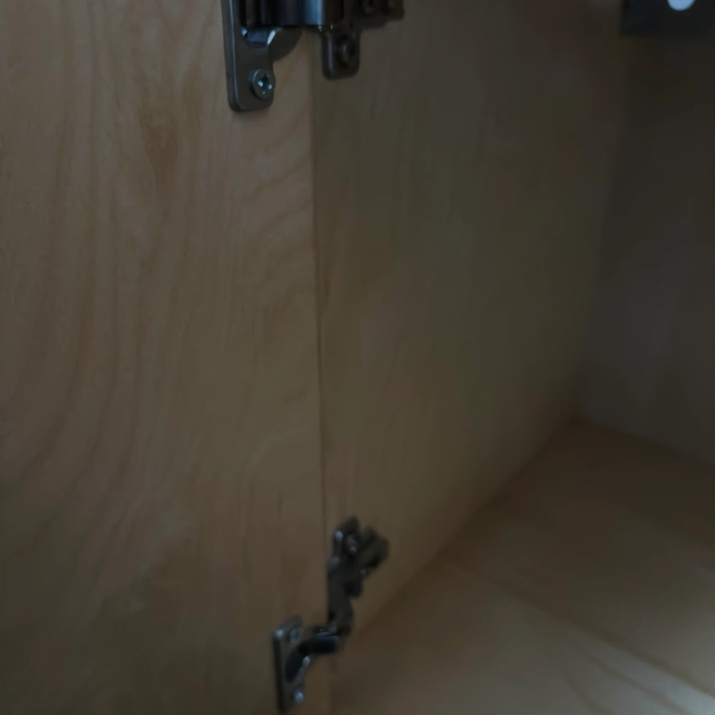 Wood Storage Cabinet with Double Doors - photo 5