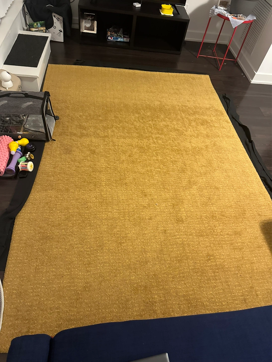 LANGSTED Rug