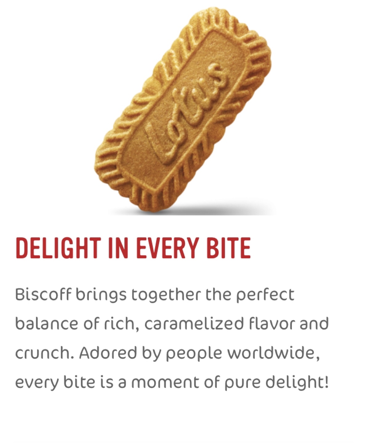 Biscoff Cookies ✨NEW - photo 2
